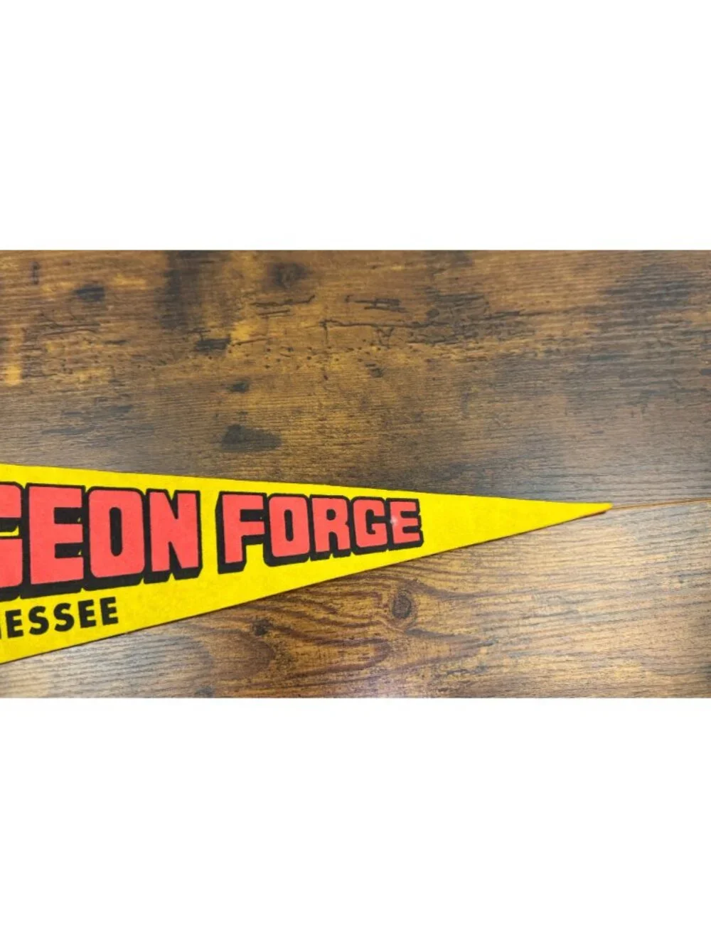 Vintage Pigeon Forge Tennessee Felt Pennant Souvenir 25 inches